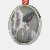 Rode hond (Agelaius phoeniceus) Metalen Ornament (Links)