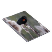 Rode hond (Agelaius phoeniceus) Notitieboek (Rechterzijde)