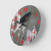 Rode hond (Agelaius phoeniceus) Ronde Klok (Hoek)