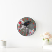 Rode hond (Agelaius phoeniceus) Ronde Klok (Huis)