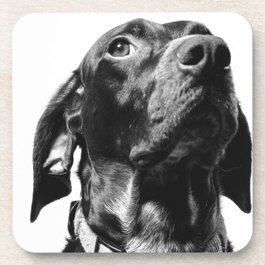 rode hond bier onderzetter (Voorkant)