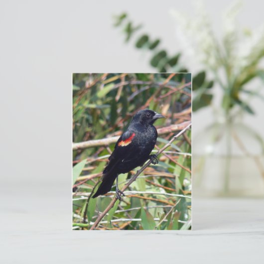 Rode hond briefkaart (Staand voorkant)