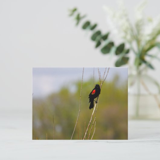 Rode hond briefkaart (Staand voorkant)