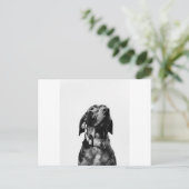 rode hond briefkaart (Staand voorkant)