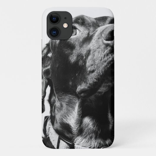 rode hond Case-Mate iPhone case (Achterkant)