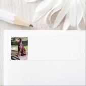 rode hond etiket (Insitu)