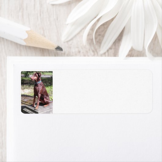 rode hond etiket (Insitu)