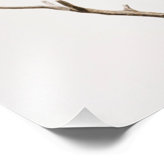 Rode hond foto afdruk (Hoek)