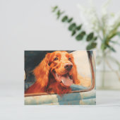 Rode Hond In Klassieke Vrachtwagen Window Art Prin Briefkaart (Staand voorkant)