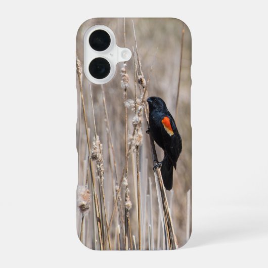 Rode hond iPhone 16 hoesje (Achterkant)