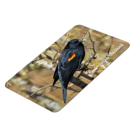 Rode hond magneet (Linkerzijde)