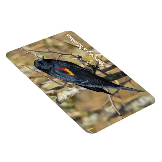 Rode hond magneet (Rechterzijde)