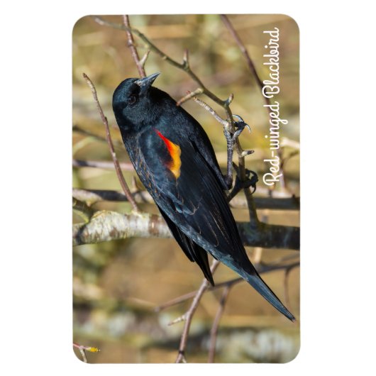 Rode hond magneet (Verticaal)