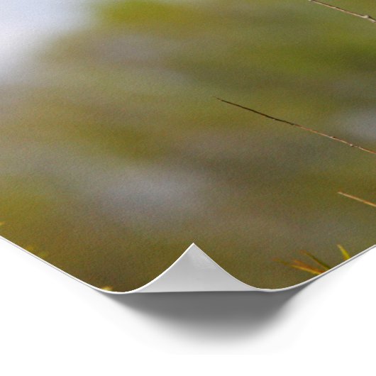 Rode hond poster (Hoek)