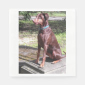 rode hond servet (Voorkant)