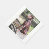 rode hond servet (Hoek)