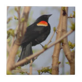 Rode hond tegeltje (Voorkant)