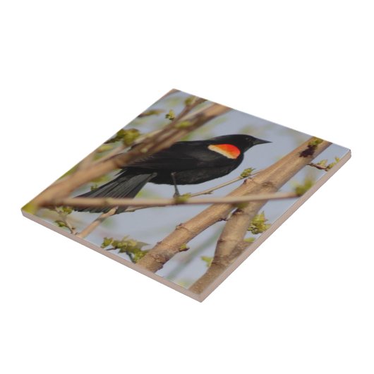 Rode hond tegeltje (Zijkant)