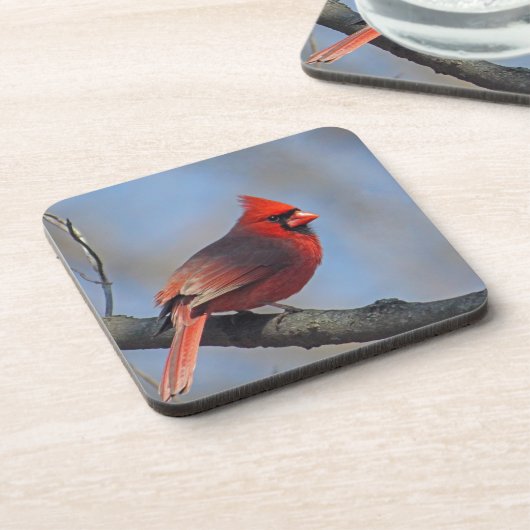 rode hoofdfoto onderzetter (Linkerzijde)