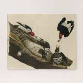 Rode houpecker - Amerikaanse vogelvogels van Audub Legpuzzel (Horizontaal)