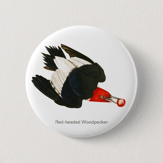 Rode houtpikker, Audubon, Birdwatcher Bird Ronde Button 5,7 Cm (Voorkant)