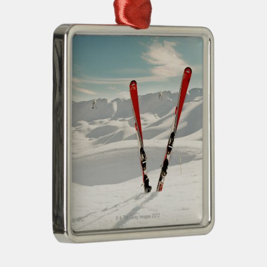 Rode huid metalen ornament (Rechts)