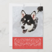 Rode hulstbladeren huisdier foto feestdagenkaart (Voorkant)