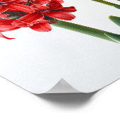 Rode Hyacint Bloemenkunst Print Poster (Hoek)