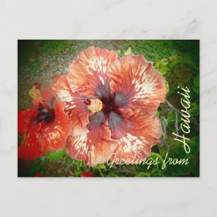 Rode hybride hibiscus kleurrijke bloem briefkaart