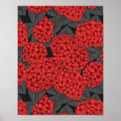 Rode hydrangea poster (Voorkant)