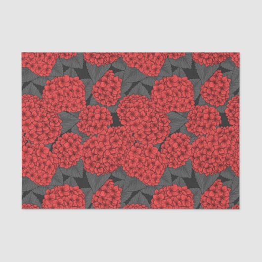 Rode hydrangea tissuepapier (Voorkant)