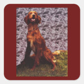 Rode Ierse Setter Hond Patroon Achtergrond Vierkante Sticker (Voorkant)