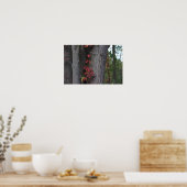 Rode Ivy op Tree Poster (Keuken)