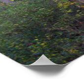 Rode Ivy op Tree Poster (Hoek)