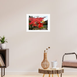 Rode Japanse Esdoorn en Tuin Heiligtum Foto Poster