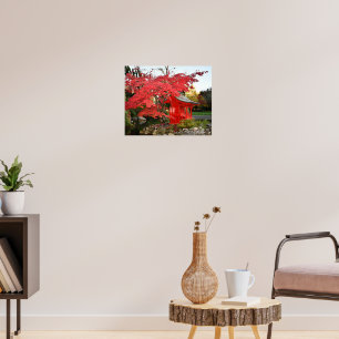 Rode Japanse Esdoorn en Tuin Heiligtum Foto Poster