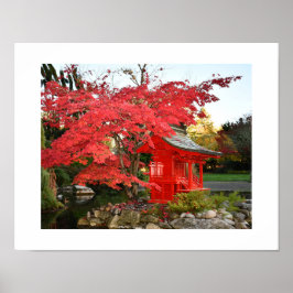 Rode Japanse Esdoorn en Tuin Heiligtum Foto Poster
