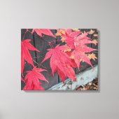Rode Japanse Esdoornbladeren Botanisch Canvas Afdruk (Voorkant)