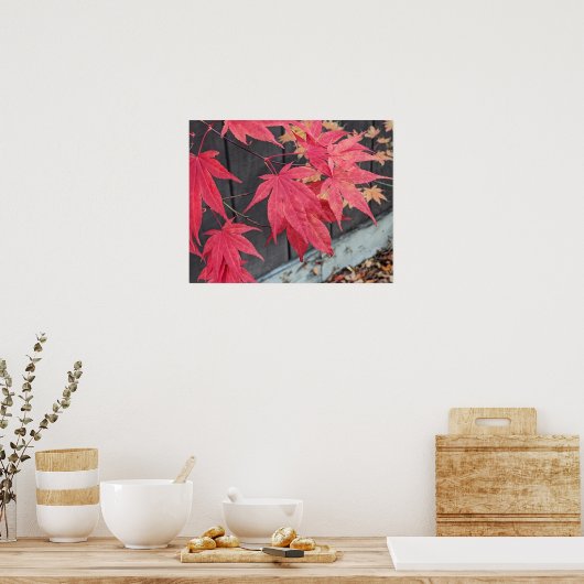 Rode Japanse Esdoornbladeren Botanisch Poster (Keuken)