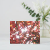 Rode Japanse mannetbomen foto's achterlaten Briefkaart (Staand voorkant)