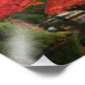 Rode Japanse mantel en tuinschildpad Foto Afdruk (Hoek)