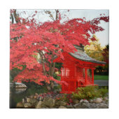 Rode Japanse mantel en tuinschildpad Tegeltje (Voorkant)