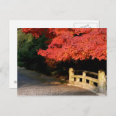 Rode Japanse maple Briefkaart (Voorkant / Achterkant)