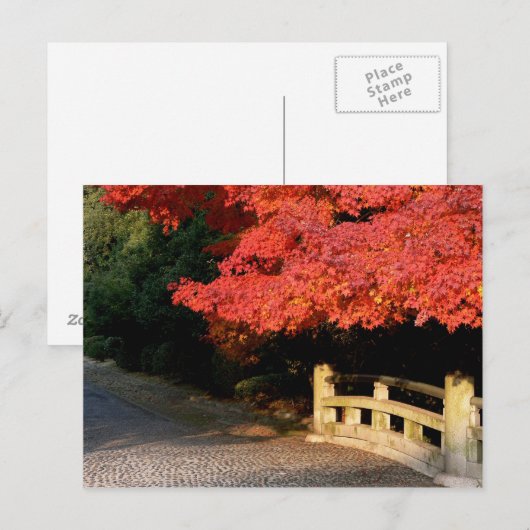 Rode Japanse maple Briefkaart (Voorkant / Achterkant)