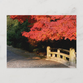 Rode Japanse maple Briefkaart