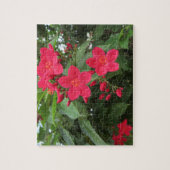 Rode Jatropha Bloemen Legpuzzel (Verticaal)