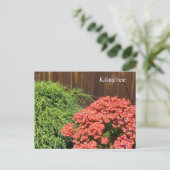 Rode Kalanchoe Bloemen Briefkaart (Staand voorkant)