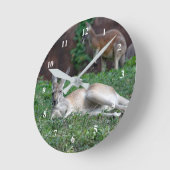 Rode Kangoeroe 6950 Klok (Hoek)