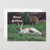 Rode Kangoeroe 6950 Verjaardag Ansichtkaart Briefkaart (Voorkant / Achterkant)