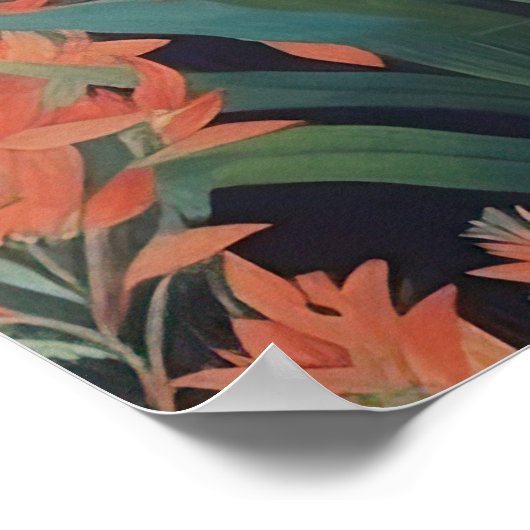 Rode kangoeroe in de Australische struik Poster (Hoek)